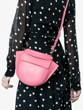 WANDLER Hortense Mini Pink Saddle Crossbody Bag - Smooth Leather Shoulder Purse